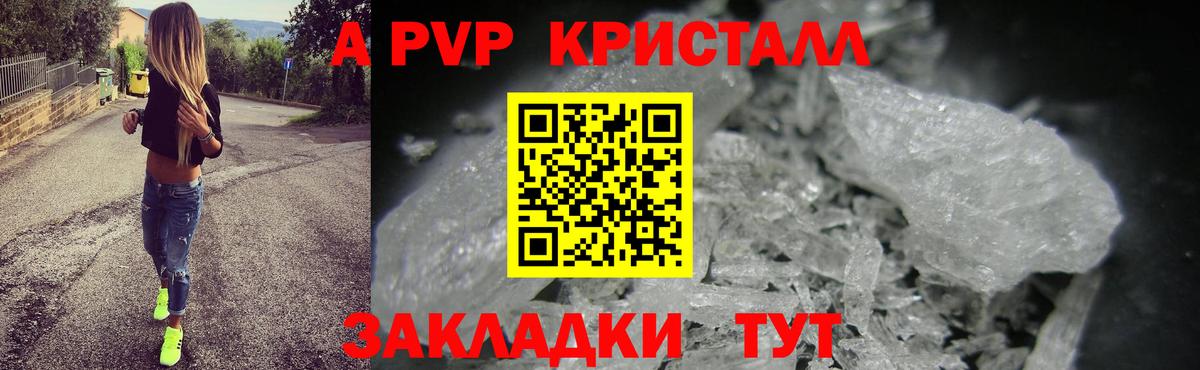 Альфа ПВП СК КРИС Сунжа