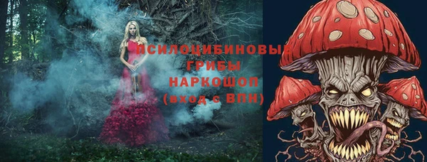 прущие крисы Лабытнанги