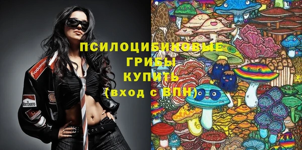 прущие крисы Лабытнанги