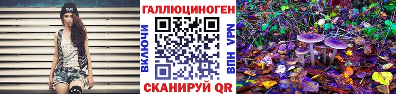 Псилоцибиновые грибы прущие грибы  купить наркоту  Сунжа 